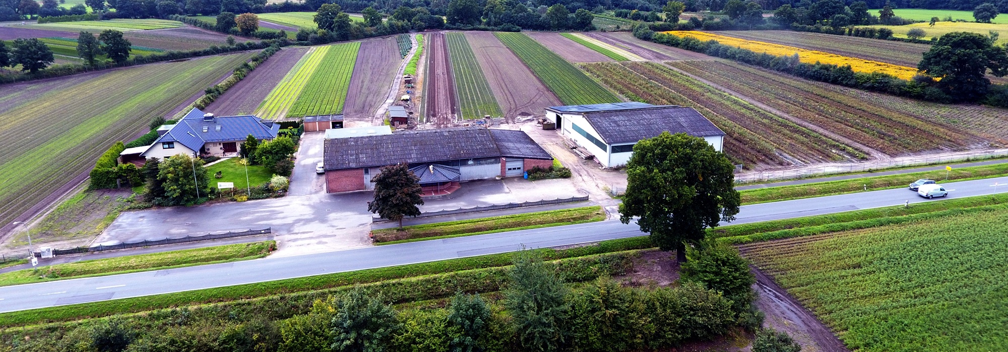 Betrieb Udo Pein Forst- und Rosenschulen - &copy; Udo Pein Baumschulen